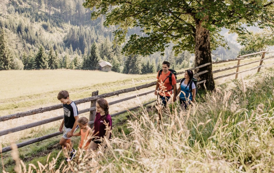 Familienwanderung zum Sonntagskogel bei Sonne &copy; Tourismusverband Gro&szlig;arltal